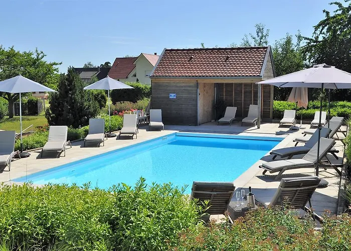 Aux Chants Des Oiseaux